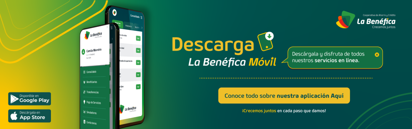 Nuestros Productos y Servicios
